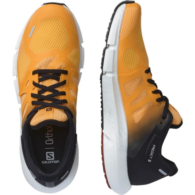 Salomon Predict 2 Men's Running Shoes Mango / Black | CA 83R26